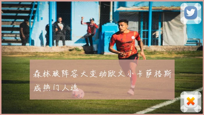 森林狼阵容大变动欧文小卡萨格斯成热门人选